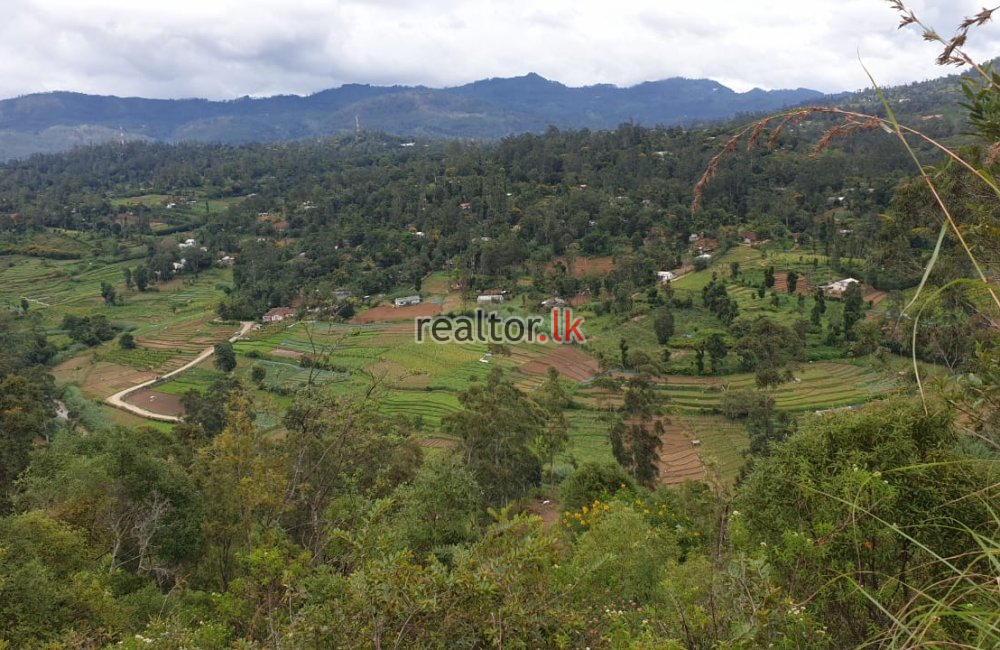 Land For Sale In Welimada