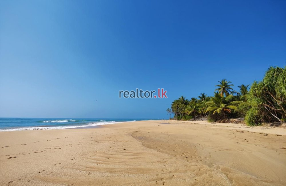 Oceanfront Land For Sale In Ranna