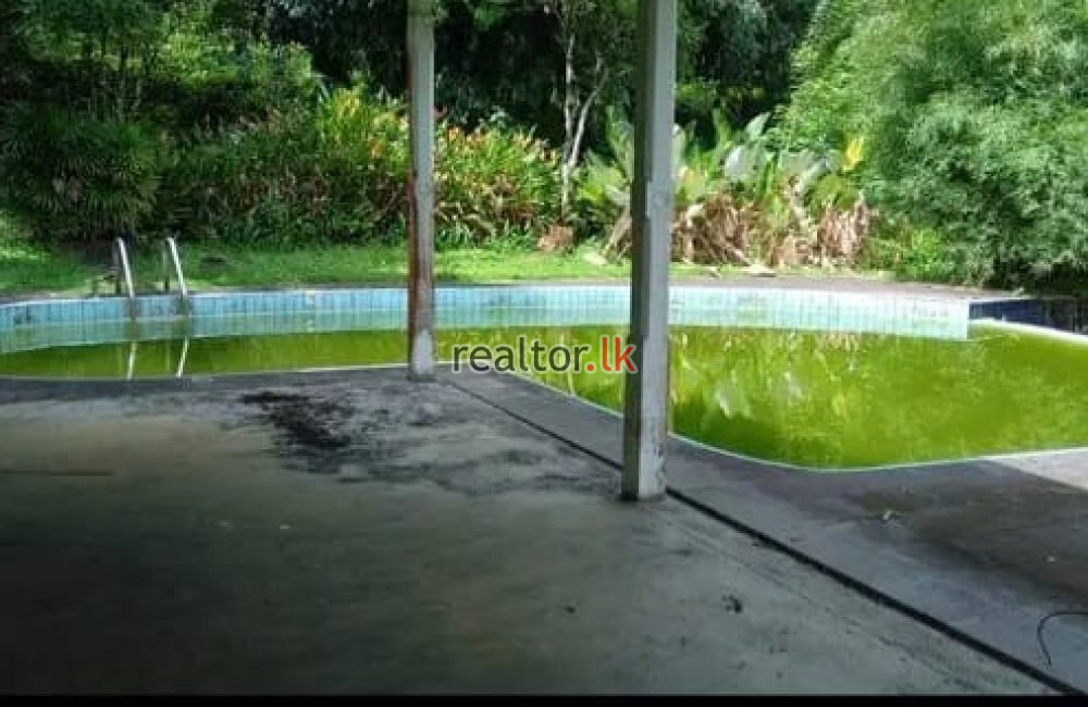 Mixed Estate For Sale In Eheliyagoda