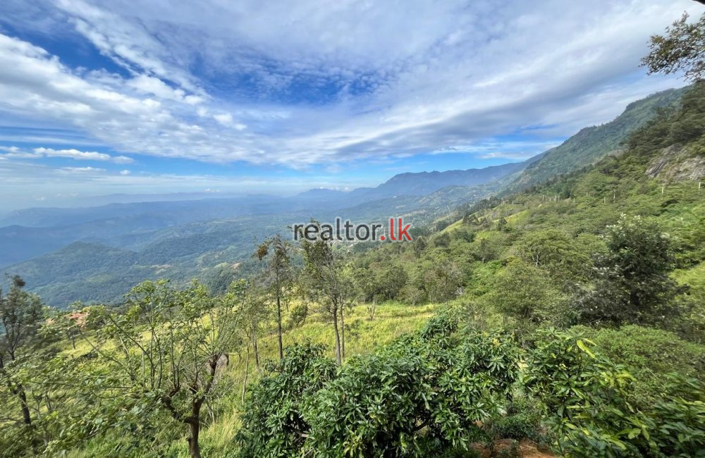 Mountain View Land For Sale At Beragala Haputale