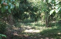 Bodering Koggala Lake Land For Sale