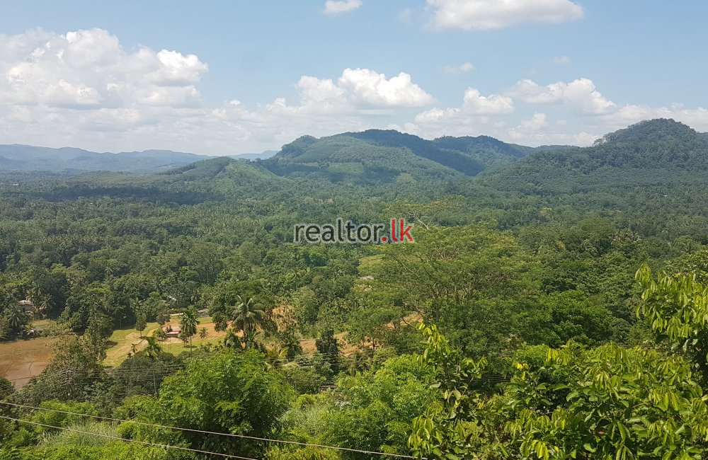 Prime Mixed Plant Estate For Sale In Kuruwita