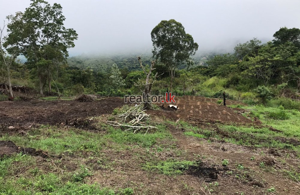 Land For Sale In Ella