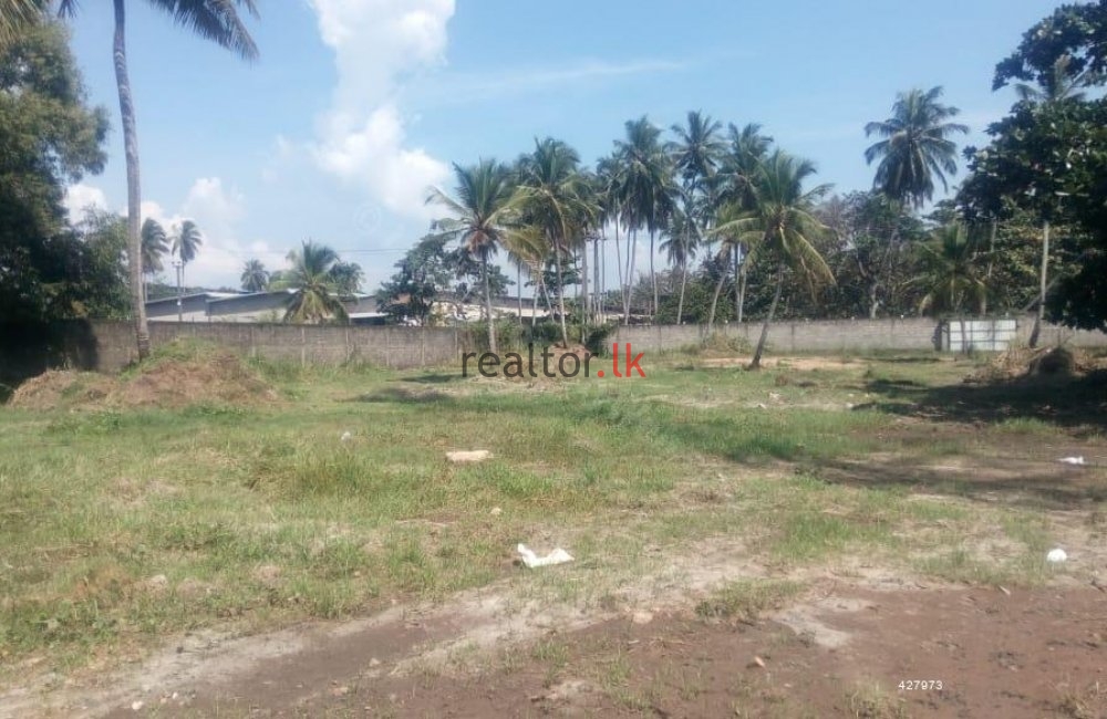 Land For Sale At Raja Mw Facing