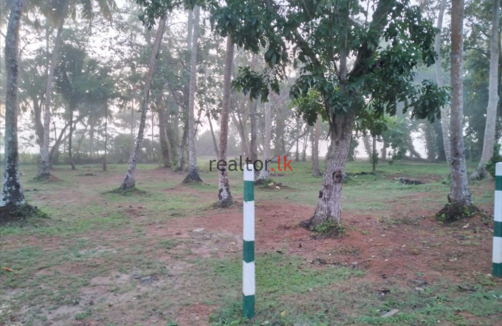 Polhena Beach Front  Land For Sale