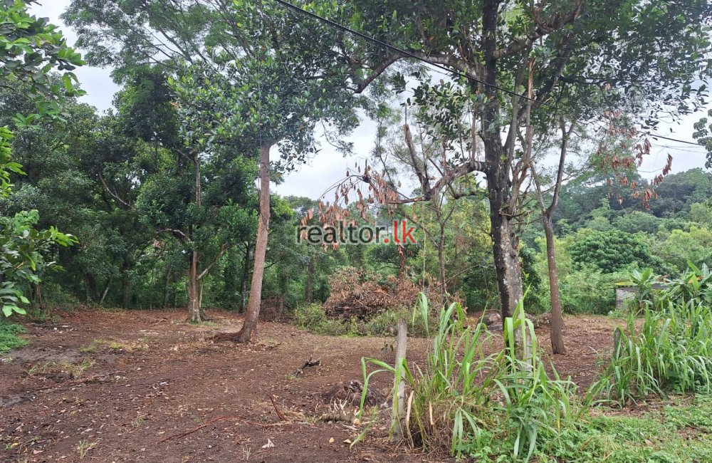 Land For Sale In Kahanthota Rd Malabe