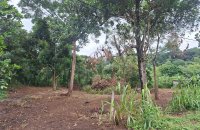 Land For Sale In Kahanthota Rd Malabe