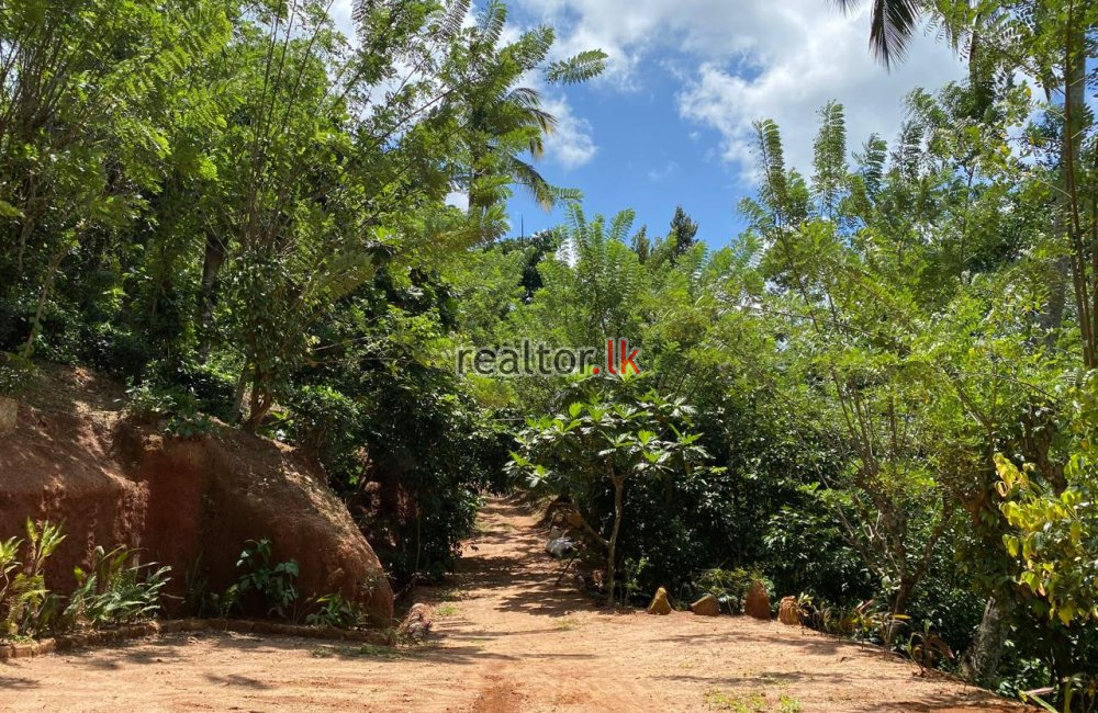 Mixed Estate For Sale In Yatihalagala Kandy