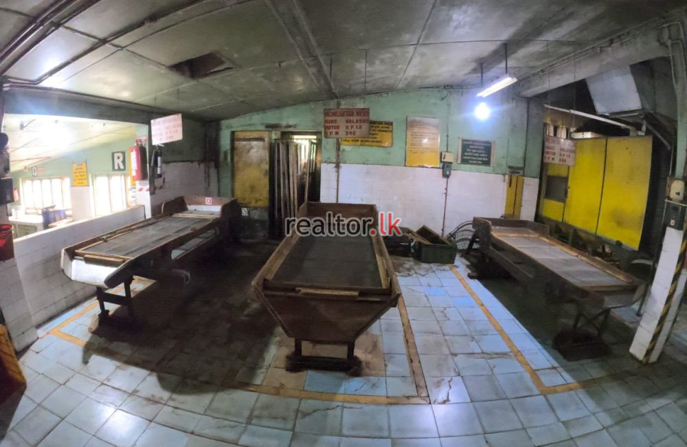 Tea Factory For Sale At Galle