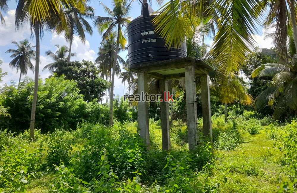 Coconut Estate For Sale At Horombawa Kuliyapitiya