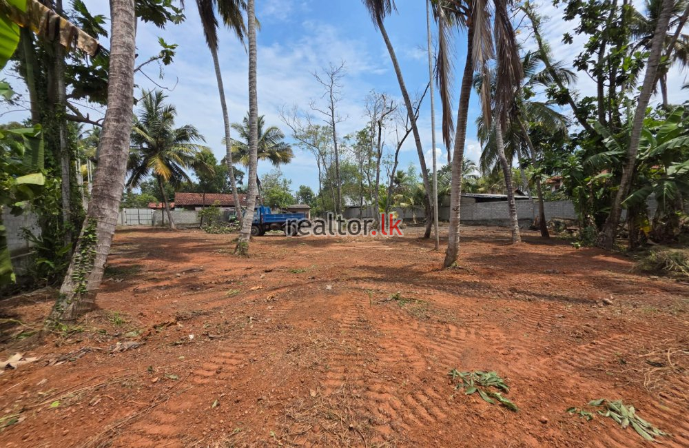 Land For Sale In Mangala Rd Negombo