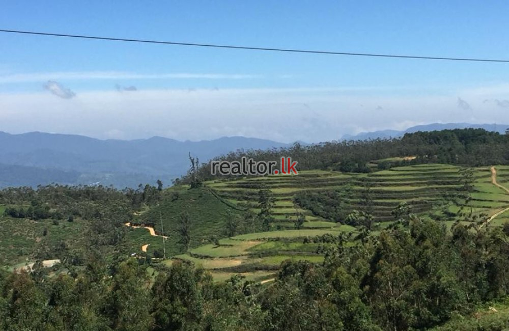 Land For Sale In  MTV Tower Road Nuwara Eliya