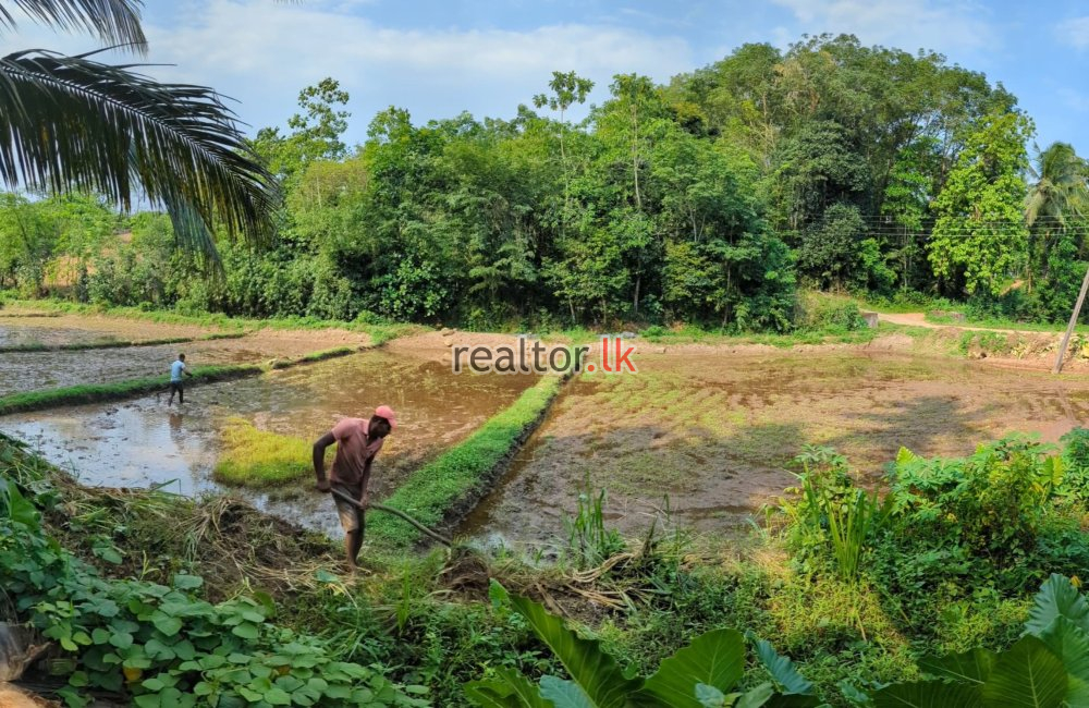 Warehouse With Land For Sale In Meegoda