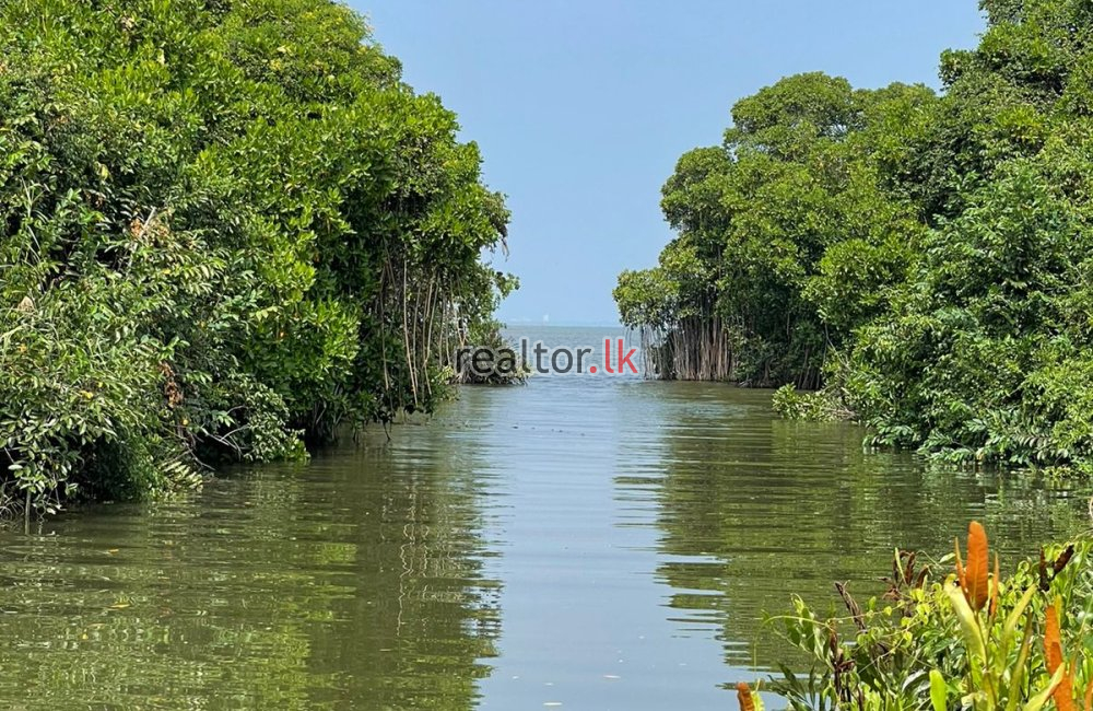 Land For Sale At Negombo Lagoon