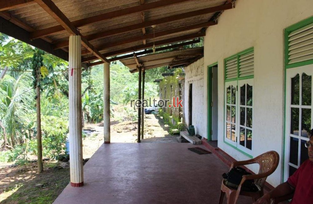 Tea Estate At Wadikumbura Rd