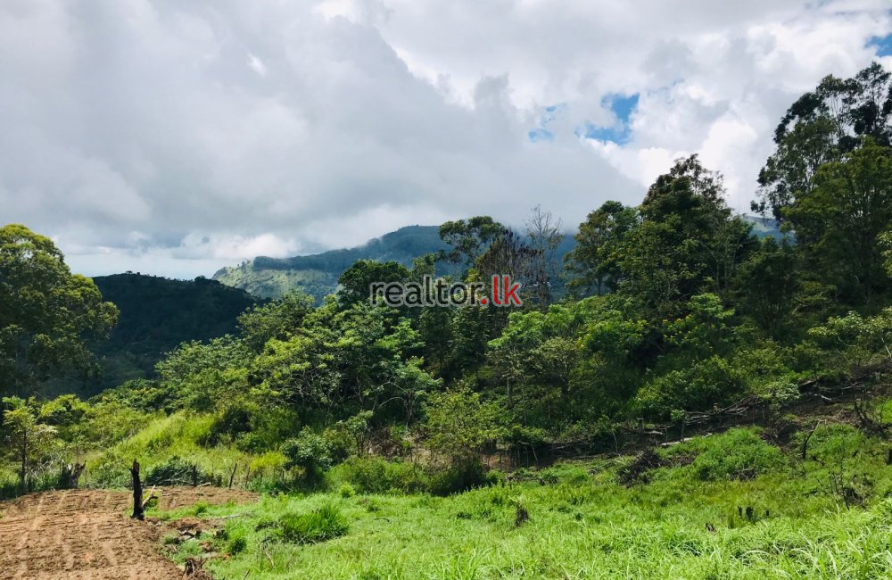 Land For Sale In Ella