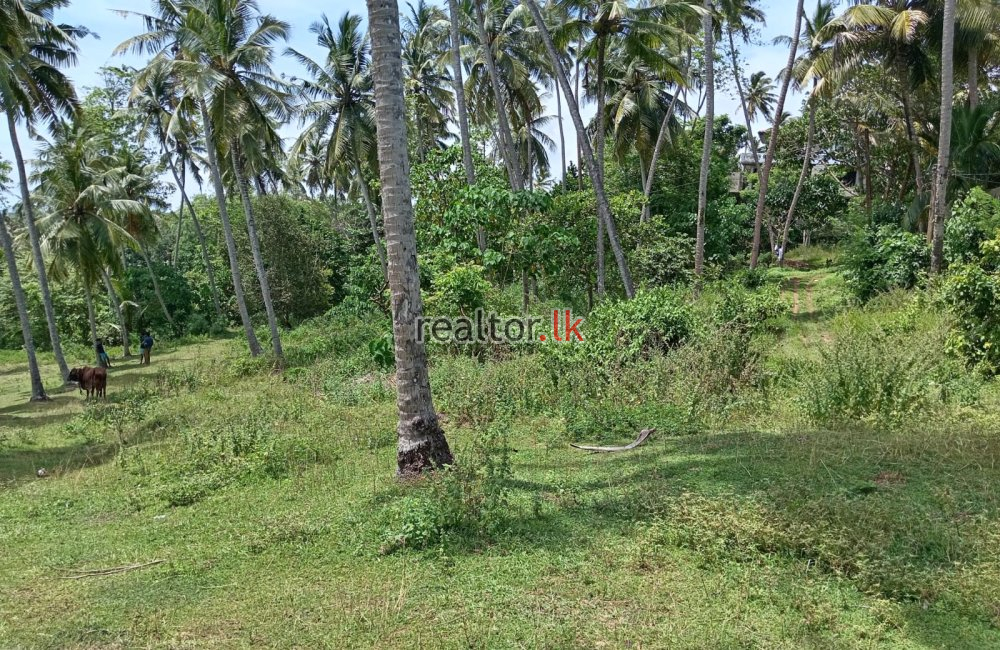 Land For Sale At Unawatuna Dalawella