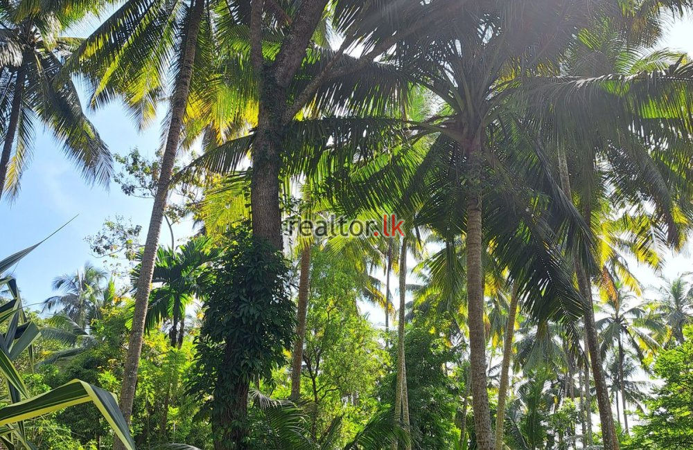 Lakefront Land For Sale At Habaraduwa Galle