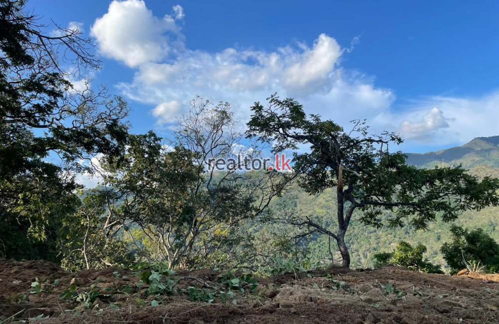 Land For Sale With Breathtaking Views In Ella