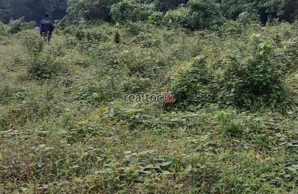 Gurugoda Rd Facing Land For Sale At Padukka