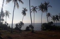 Beachfront Land For Sale In Nilwella Matara
