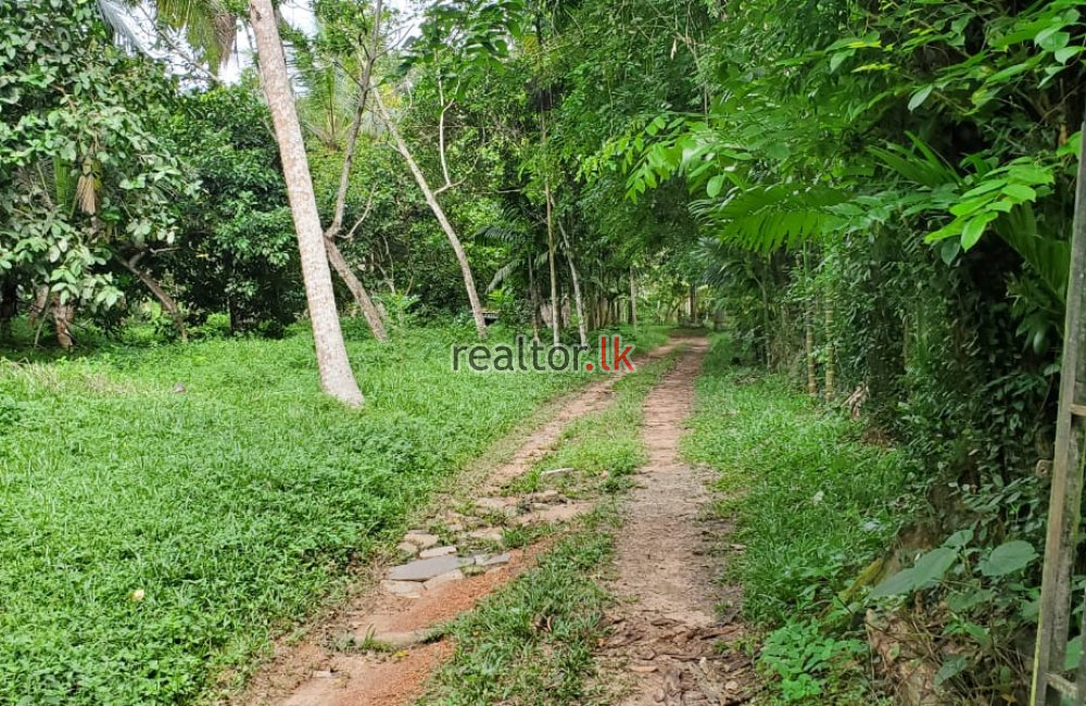 Mixed Estate For Sale In Minuwangoda