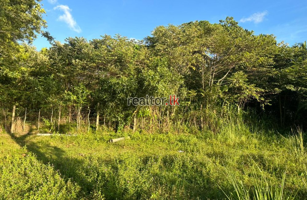 Facing Bolgoda Lake Land At Madapatha