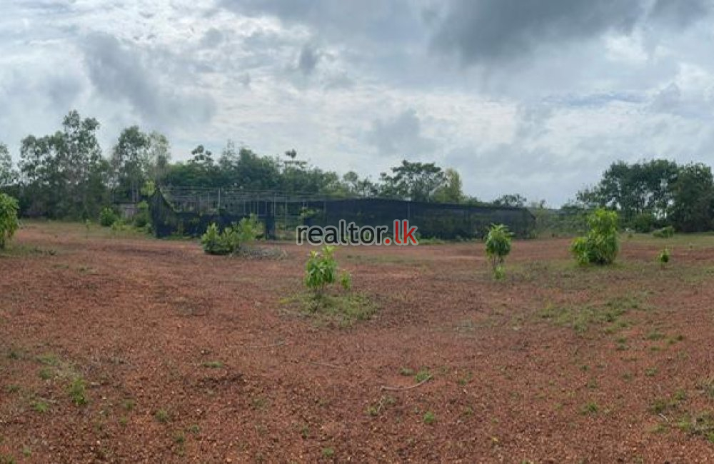 Bolgoda River Facing Land For Sale Panadura