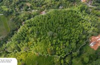 8 Acre Land For Sale In Down South