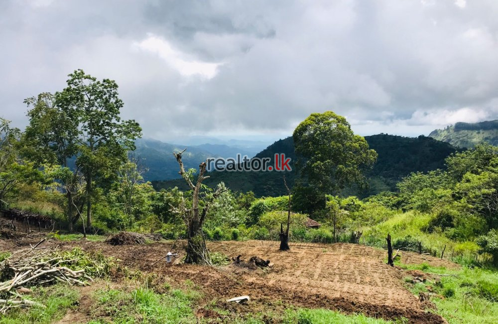 Land For Sale In Ella