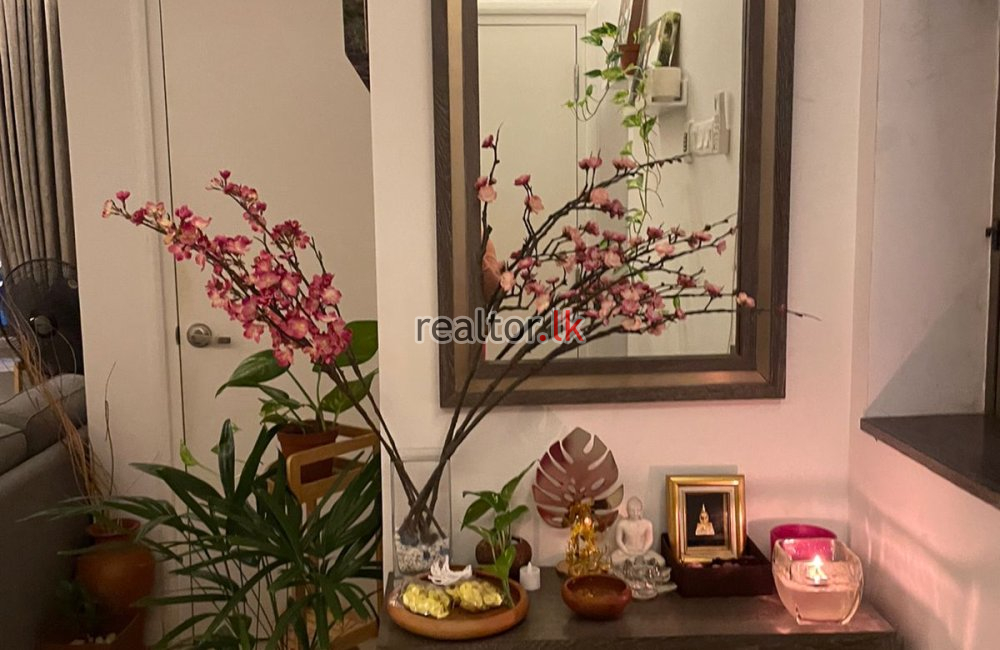 Luxury One Bed Duplex At Capitol Residencies