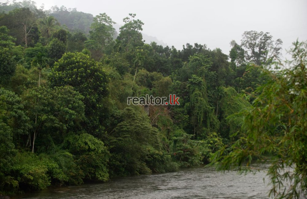 Riverside Villa For Sale In Kitulgala