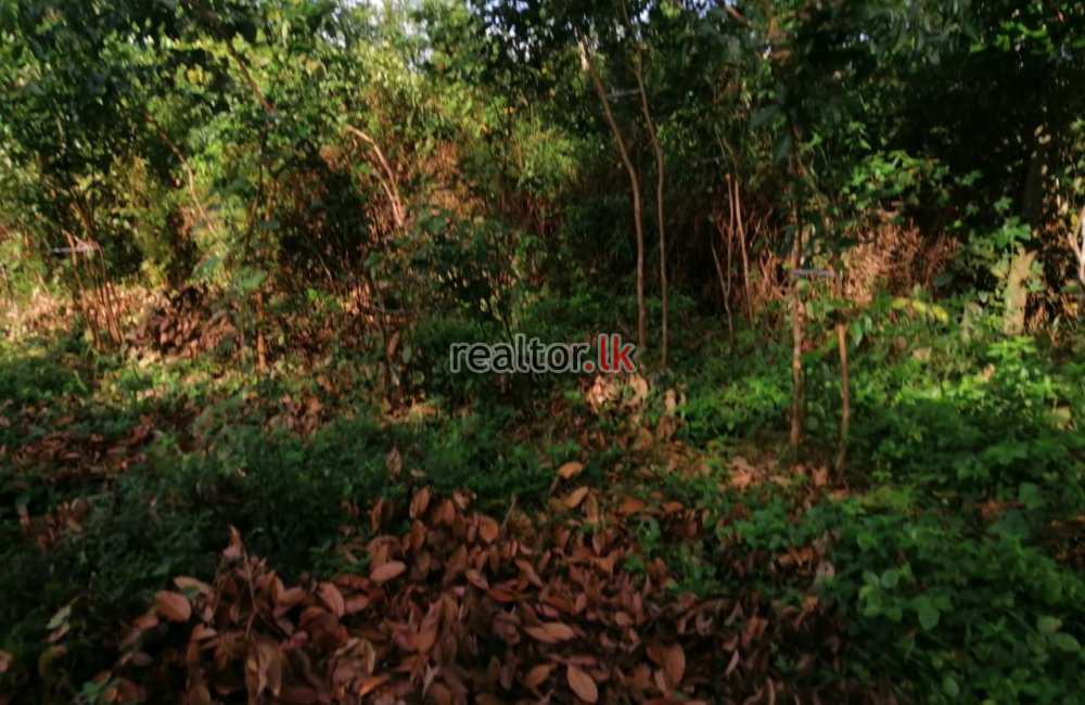 Facing Madu River Land For Sale