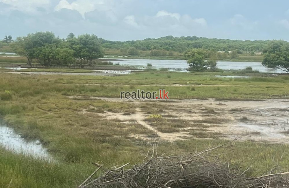 Lagoonfront Land For Sale In Kalpitiya