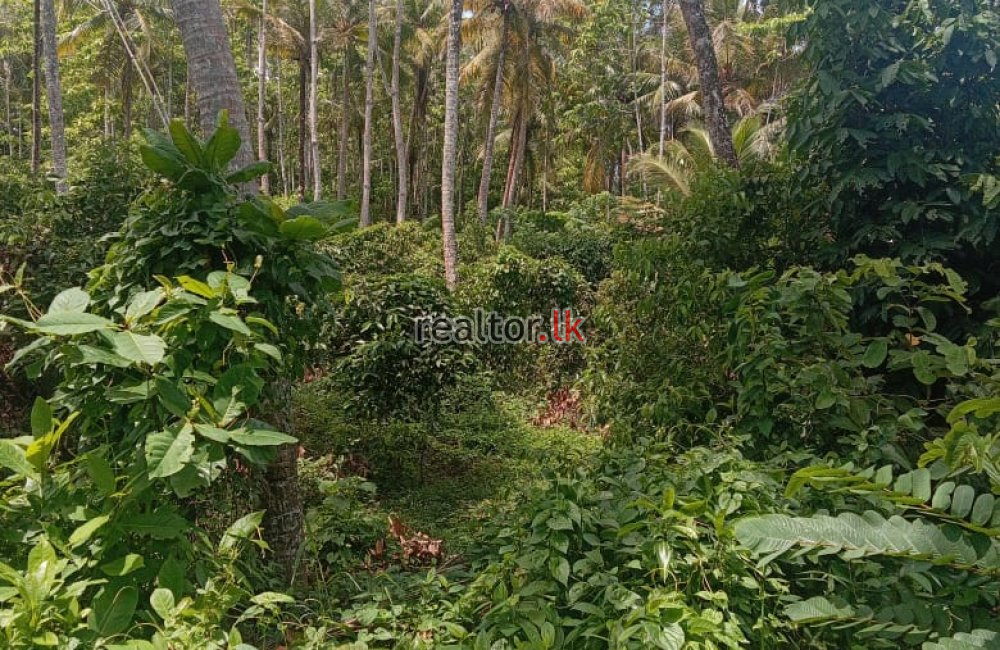 Scenic Land For Sale At Ahangama