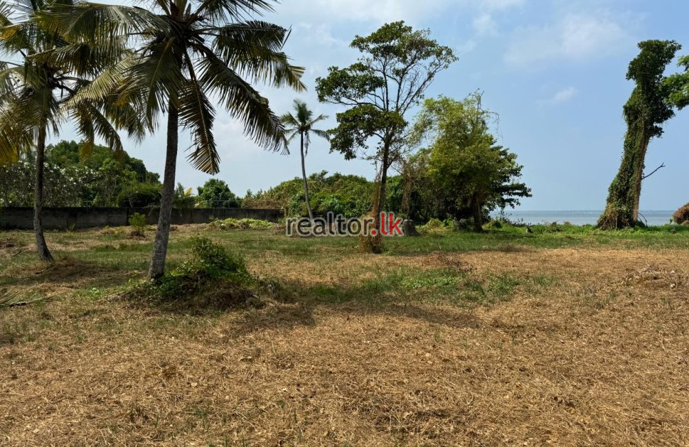 Lagoon Facing Land For Sale At Katunayake