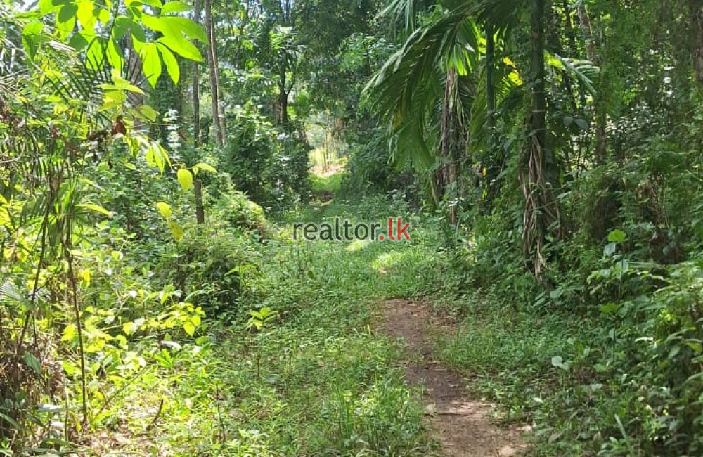 Rubber Estate For Sale At Pahala Naragala Horana