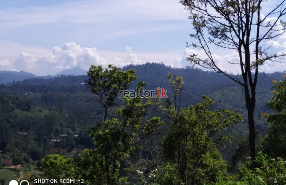 Land For Sale In Welimada