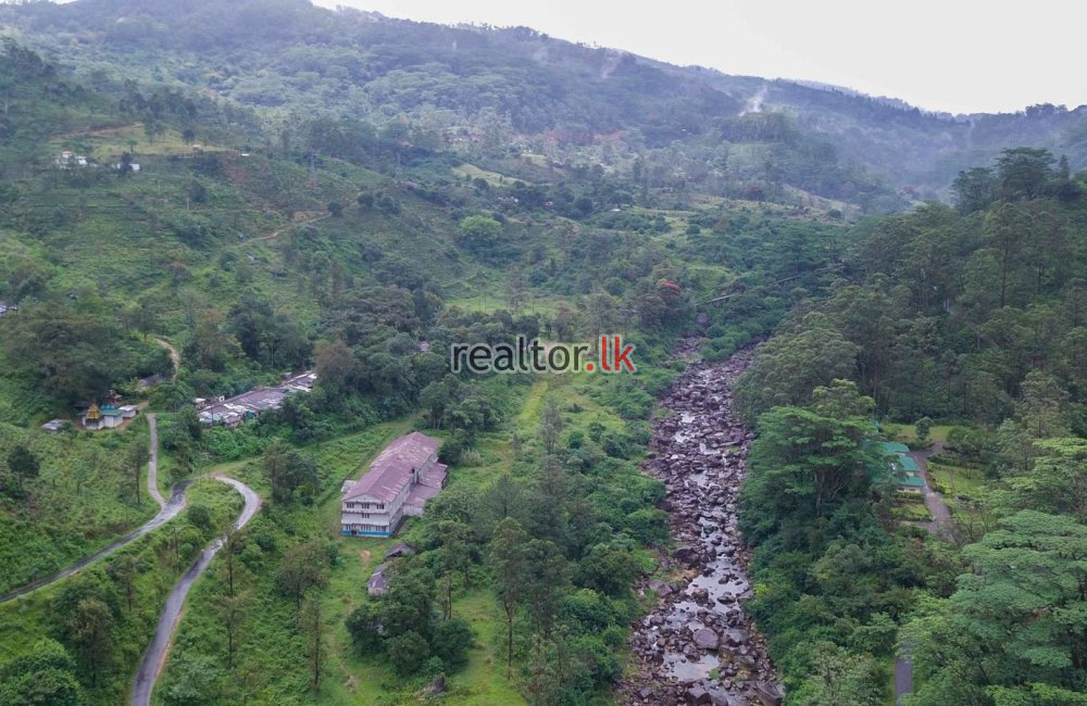 Tea Estate With Factory At Maskeliya For Sale