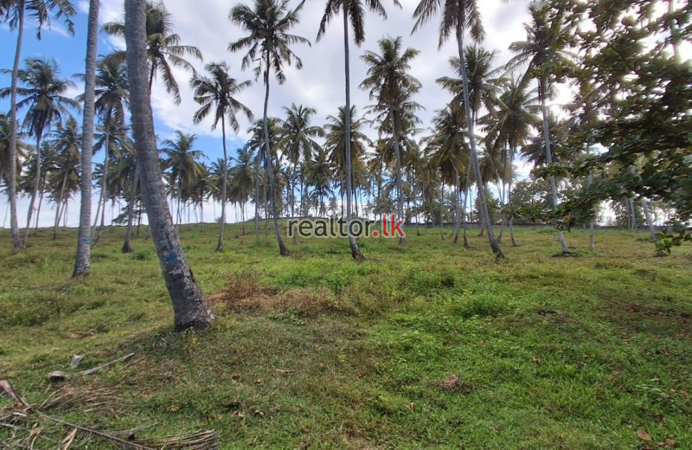 Beachfront Land For Sale In Matara Road Dikwella