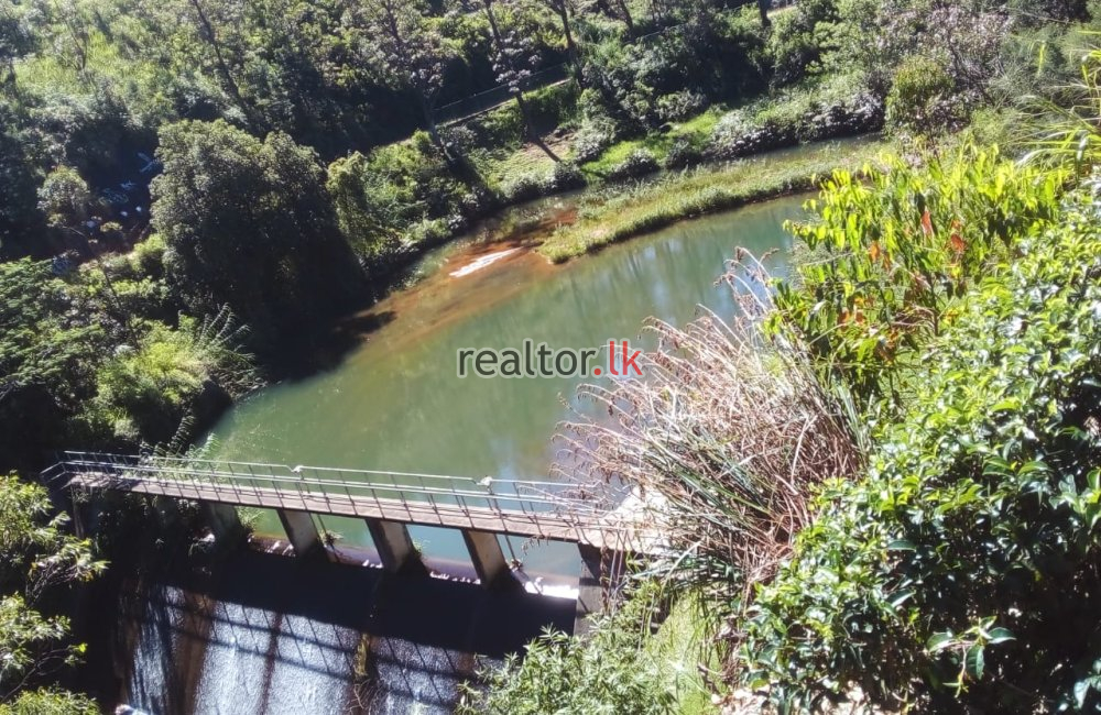 Scenic Deltota Tea Estate Property For Sale