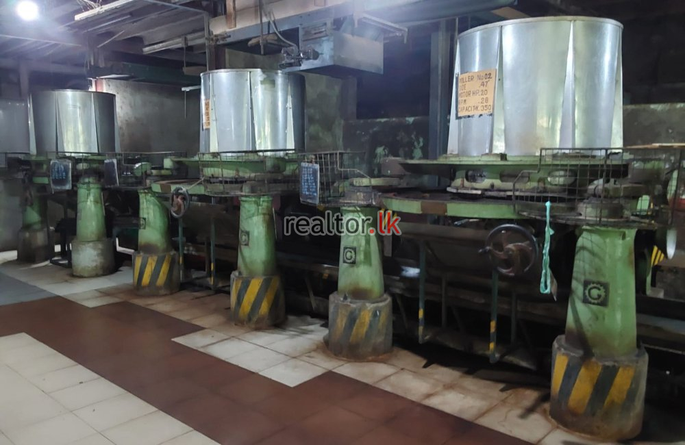 Tea Factory For Sale At Panapitiya