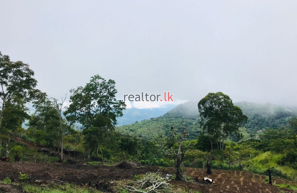 Land For Sale In Ella