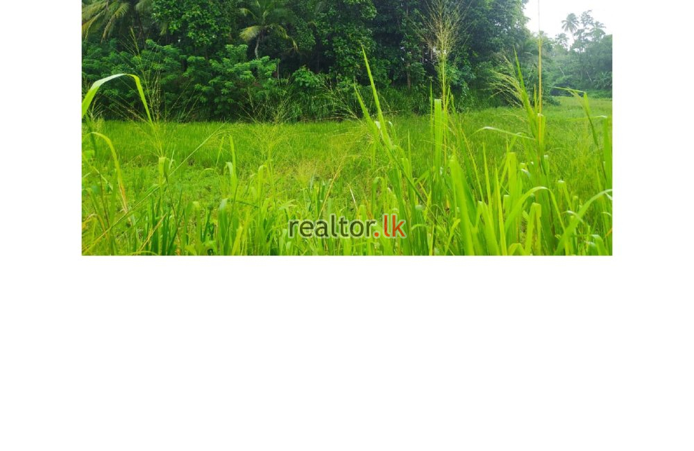 153 Perches Land For Sale In Alawwa