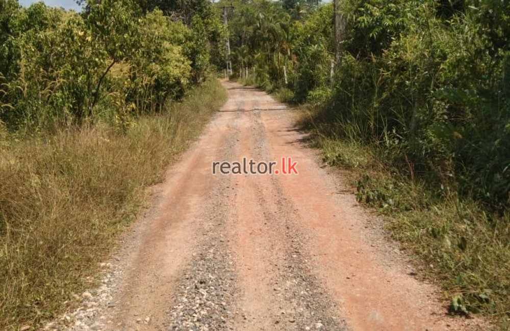 Facing Koggala Lake Land For Sale