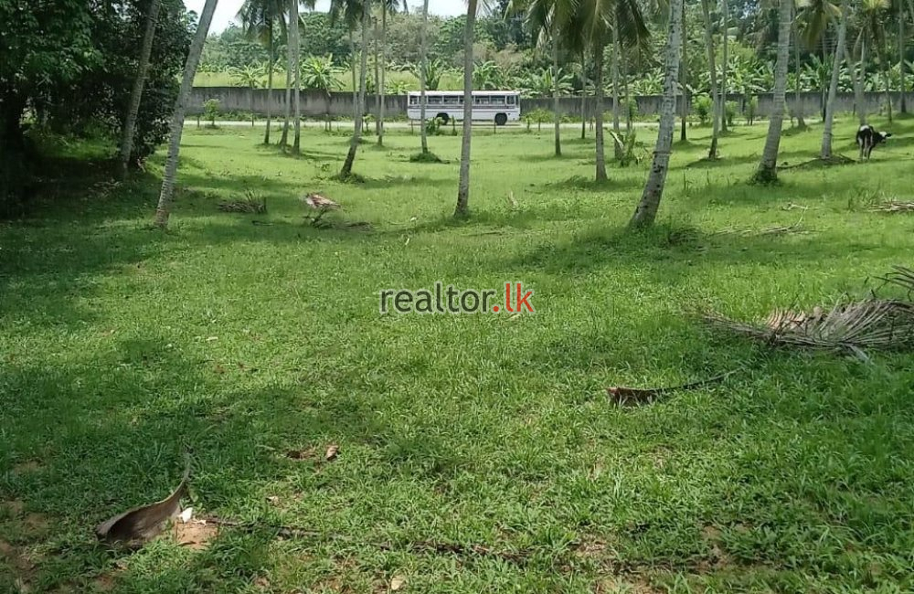 Facing Poruwadanda Rd Handapangoda Land For Sale