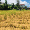 Nuwara Eliya Land For Sale