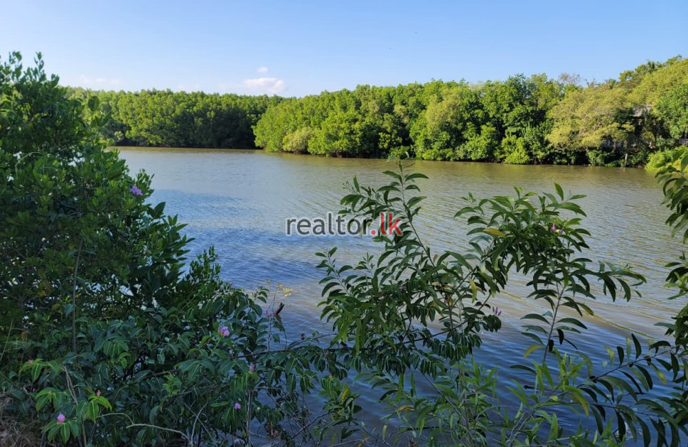 Lagoonfront Land For Sale At Tangalle