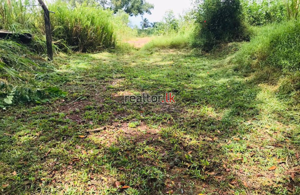Land For Sale In Weliweriya Gampaha