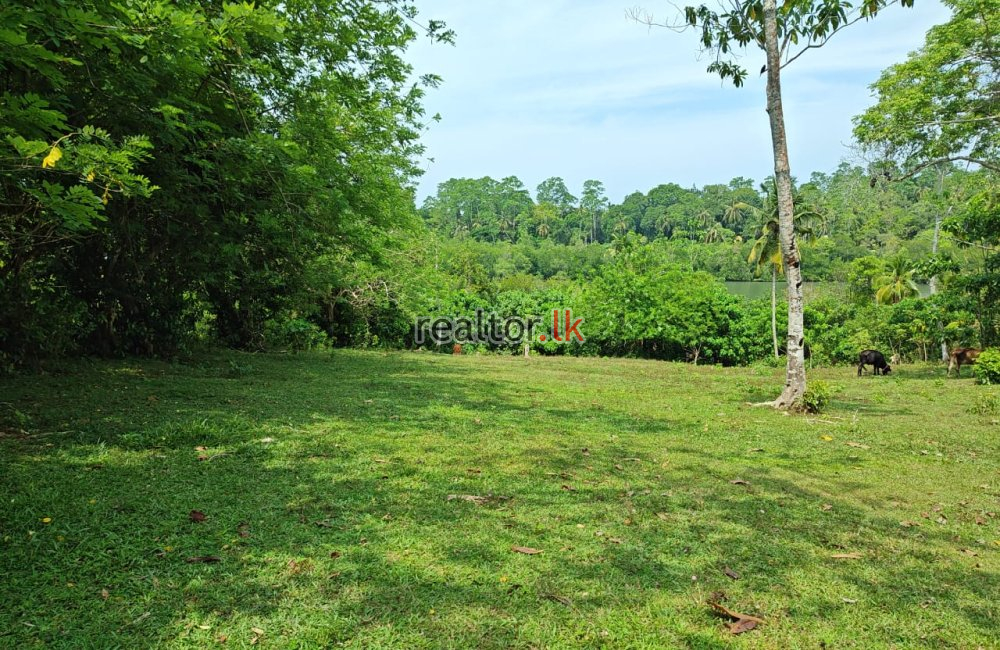 Lake Front Land For Sale At Koggala